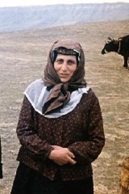 მარგო გვარამადზე