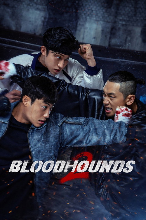 მეძებრები