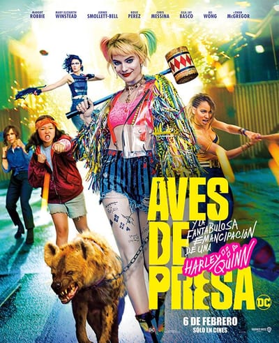 მტაცებელი ფრინველები - Birds of Prey