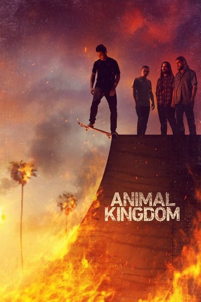 ცხოველთა სამეფო - Animal Kingdom
